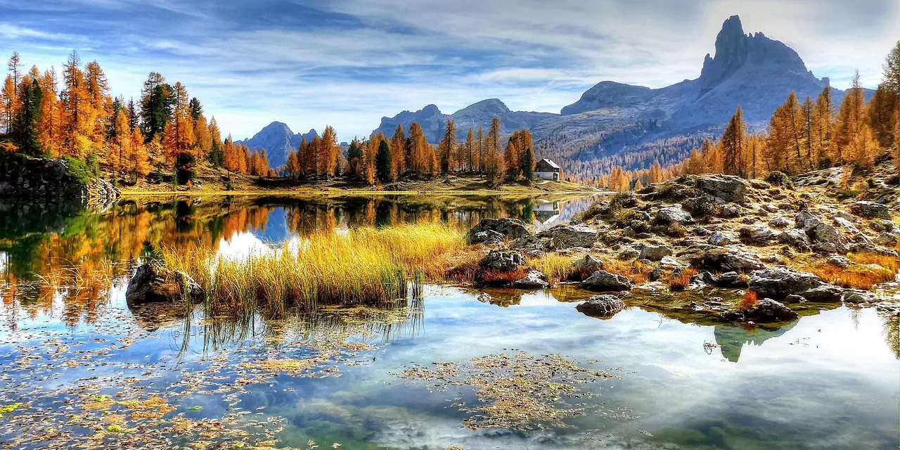 🌍 CREATION I: MATERIAL AND SPIRITUAL CREATION FROM THE ORIGIN OF THE CREATOR AND THE AGE OF TRUTH | MASTER WOO MYUNG | SANTA CLARA MEDITATION