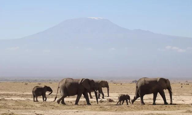 🌿 FALSENESS AND TRUTH: MASTER WOO MYUNG ON RELIGION, RESURRECTION, AND THE PATH TO COMPLETION | SANTA CLARA MEDITATION