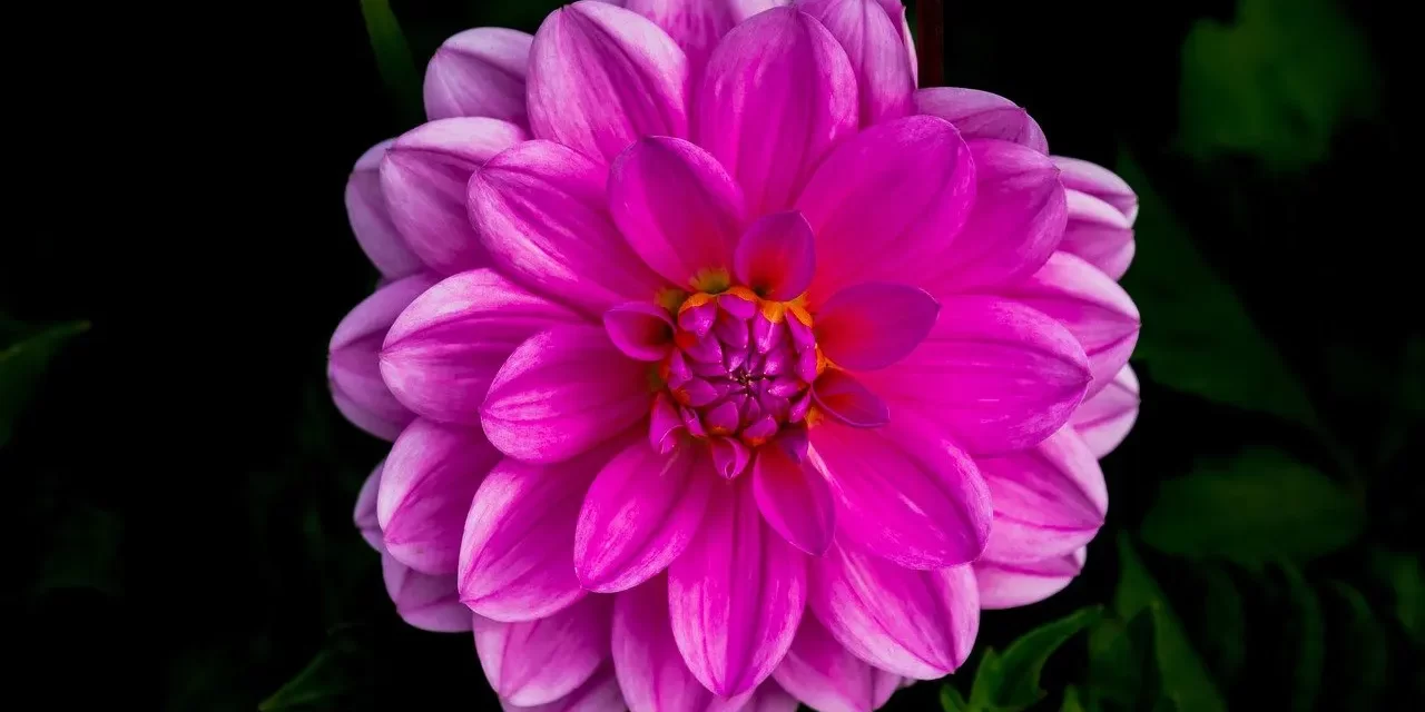 🌞 Man Does Not Live in the World, He Is Not True but False so He Is Dead: awakening from illusion to Truth | Master Woo Myung | Santa Clara Meditation