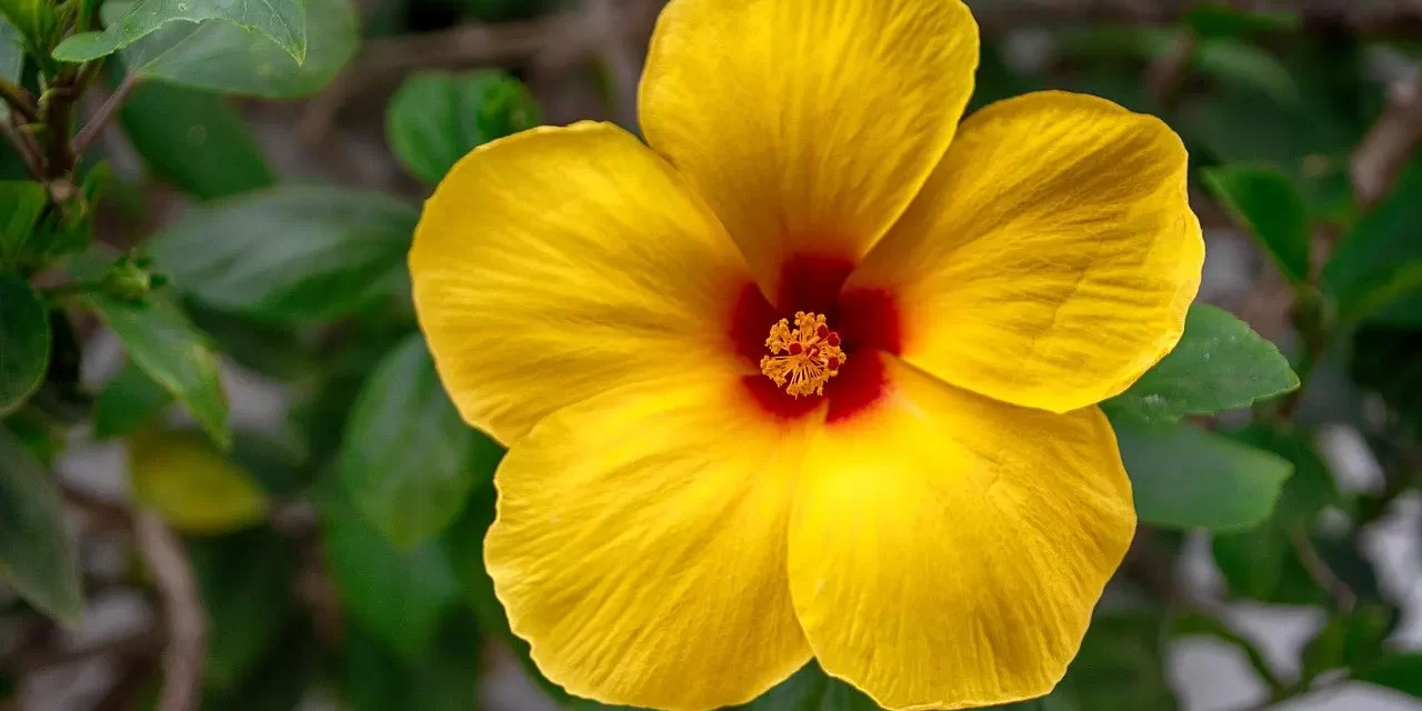 🌏 Where Does the True World Exist? | Master Woo Myung | Santa Clara Meditation