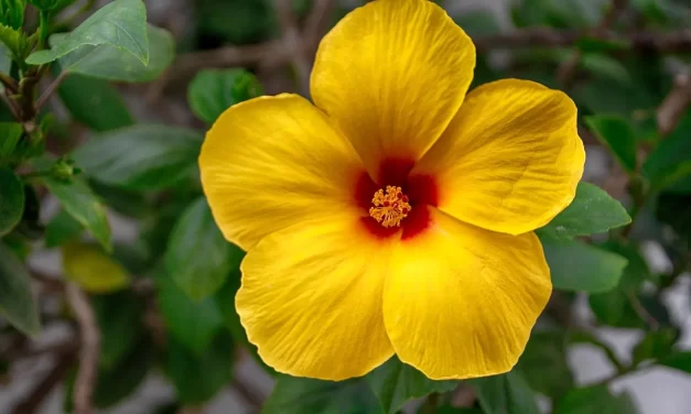 🌏 Where Does the True World Exist? | Master Woo Myung | Santa Clara Meditation