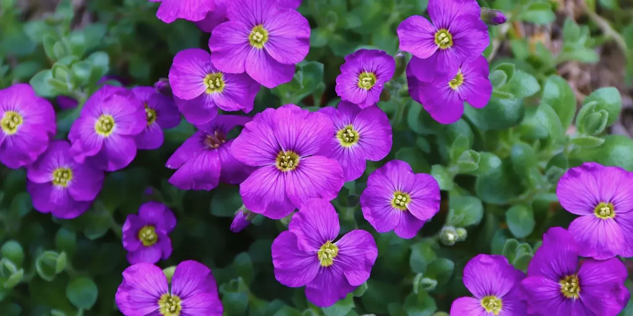 🌤️ How to Hear God’s Voice Through Prayer: Becoming One With the Divine Through Repentance | Master Woo Myung | Santa Clara Meditation