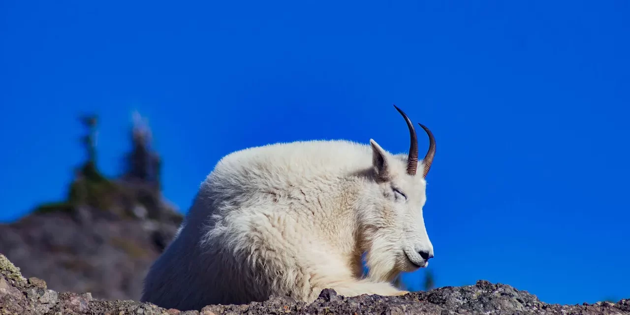 🌌 WHAT IS SAMSARA (THE ETERNAL CYCLE OF BIRTH, DEATH AND REBIRTH)? | MASTER WOO MYUNG | SANTA CLARA MEDITATION