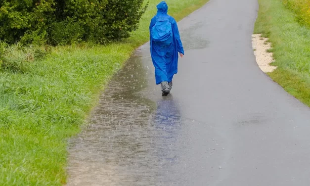 🌾 DRIFTER: THE WANDERING MIND AND THE SEARCH FOR HOME | MASTER WOO MYUNG | SANTA CLARA MEDITATION