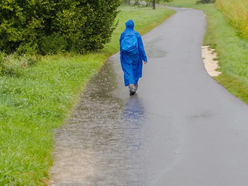 🌾 DRIFTER: THE WANDERING MIND AND THE SEARCH FOR HOME | MASTER WOO MYUNG | SANTA CLARA MEDITATION