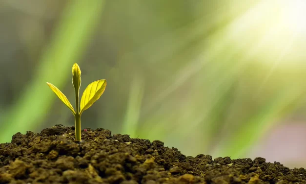 🌅 The Last Hope for Mankind: Rebirth Through Oneness and Absence of Self | Master Woo Myung | Santa Clara Meditation