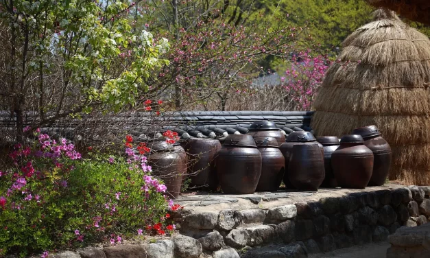 🌾 MEMORIES: LIFE WITHOUT SELF AND THE MEANINGLESSNESS OF TIME | MASTER WOO MYUNG | SANTA CLARA MEDITATION