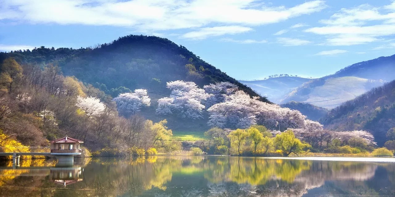 🌠 THE RELATIONSHIP BETWEEN THE CREATOR AND MAN: RETURNING TO THE ORIGIN OF TRUTH | MASTER WOO MYUNG | SANTA CLARA MEDITATION