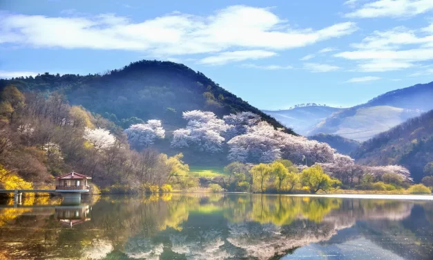 🌠 THE RELATIONSHIP BETWEEN THE CREATOR AND MAN: RETURNING TO THE ORIGIN OF TRUTH | MASTER WOO MYUNG | SANTA CLARA MEDITATION