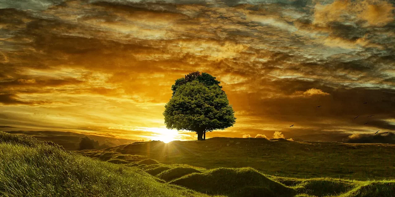 🌿 One Must Have No Kleshas in Order to Be Complete: Transcending Delusion to Become Truth | Master Woo Myung | Santa Clara Meditation