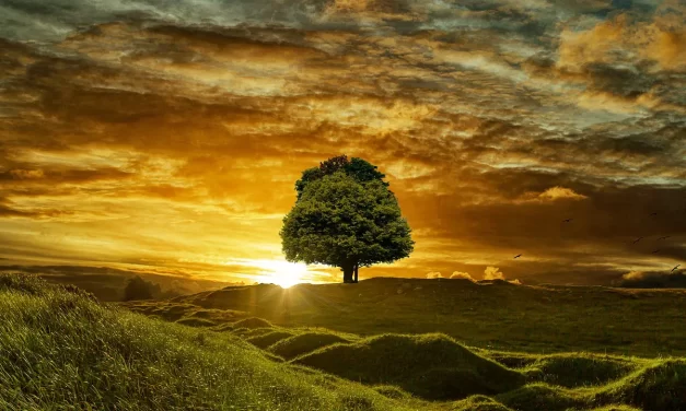 🌿 One Must Have No Kleshas in Order to Be Complete: Transcending Delusion to Become Truth | Master Woo Myung | Santa Clara Meditation