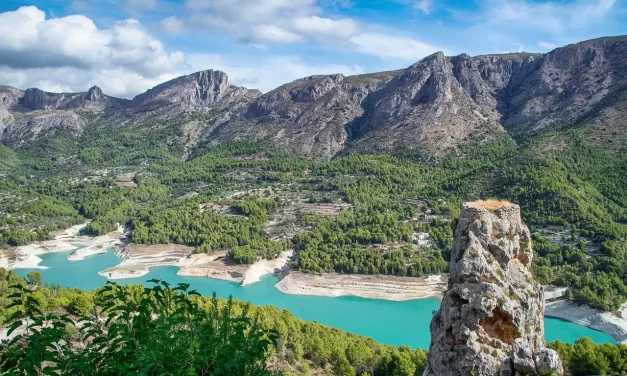 🌞 DELUSIONS: AWAKENING FROM FALSE THOUGHTS AND ILLUSIONS | MASTER WOO MYUNG | SANTA CLARA MEDITATION