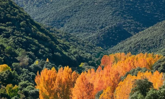 🌠 All of It Is a False World Unless One Is Born in This World That Is Truth | Master Woo Myung | Santa Clara Meditation