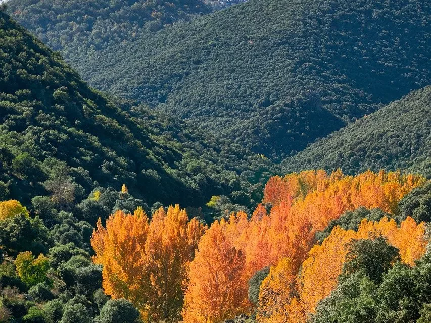 🌠 All of It Is a False World Unless One Is Born in This World That Is Truth | Master Woo Myung | Santa Clara Meditation