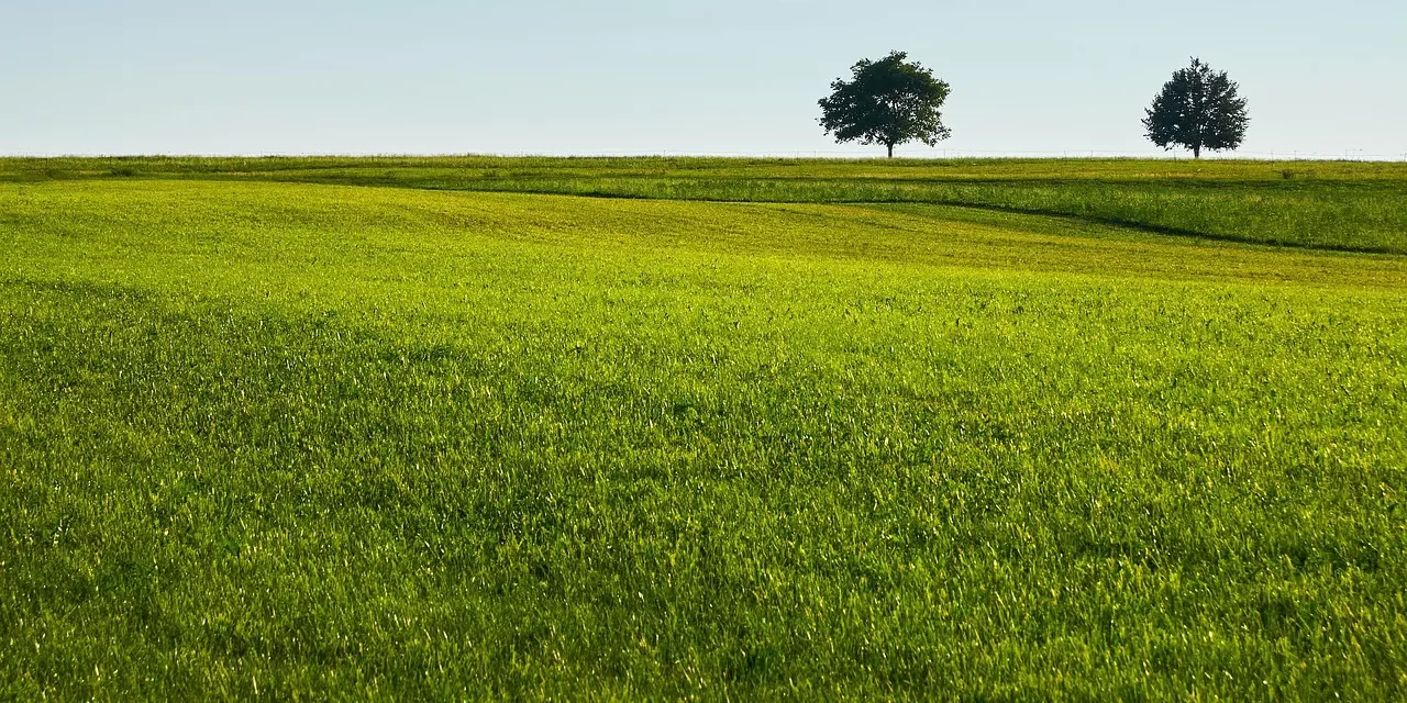 🌟 Enlightenment Means the Mind Knows From Within: Knowing Through God and Buddha Within | Master Woo Myung | Santa Clara Meditation