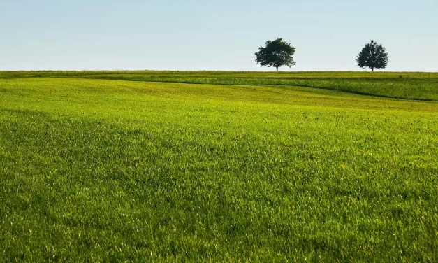 🌟 Enlightenment Means the Mind Knows From Within: Knowing Through God and Buddha Within | Master Woo Myung | Santa Clara Meditation