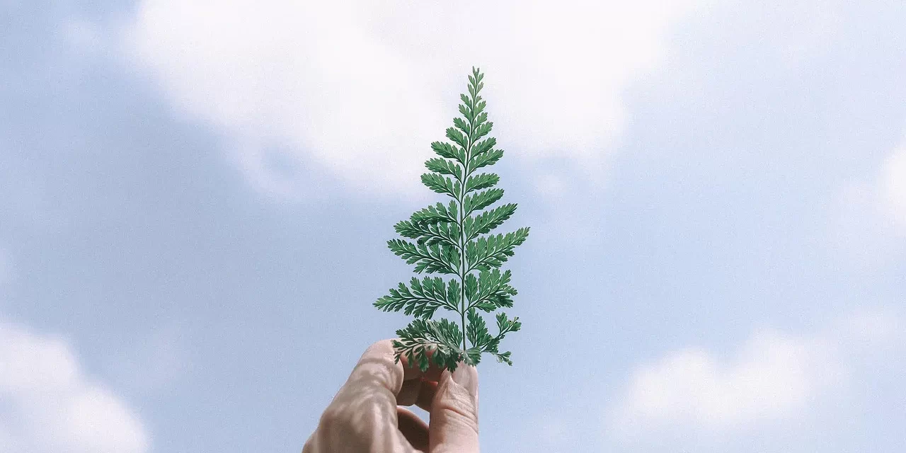 🌌 Where Does the True Mind Exist? | Master Woo Myung | Santa Clara Meditation