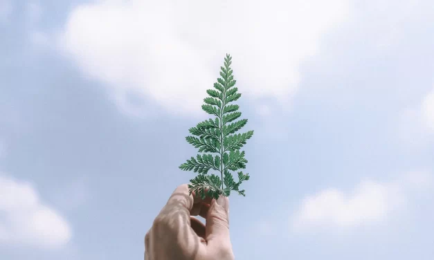 🌌 Where Does the True Mind Exist? | Master Woo Myung | Santa Clara Meditation