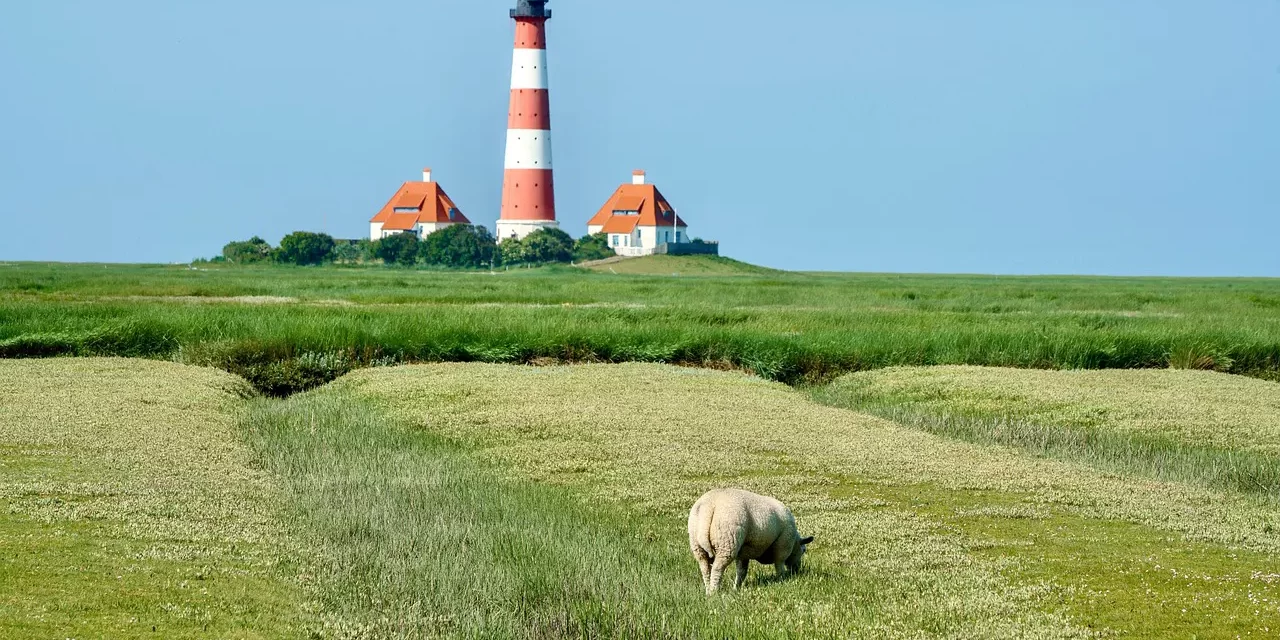 🌅 Gaining Insight into One’s True Nature and Becoming It: The Difference Between Seeing and Becoming Truth | Master Woo Myung | Santa Clara Meditation