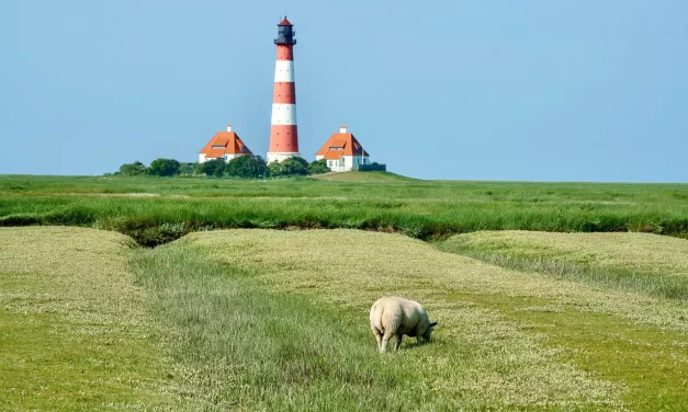 🌅 Gaining Insight into One’s True Nature and Becoming It: The Difference Between Seeing and Becoming Truth | Master Woo Myung | Santa Clara Meditation