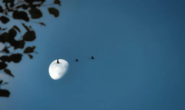 🌎 Why Are There So Many Religions: one truth denominations true world | Master Woo Myung | Santa Clara Meditation