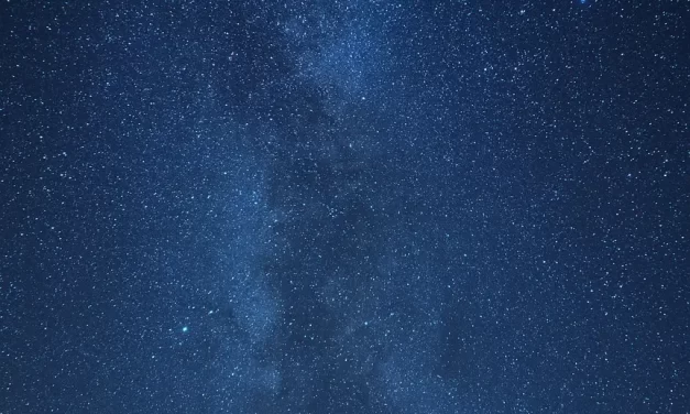 💖 LOVE: THE BOUNDLESS HEART THAT GIVES EVERYTHING | MASTER WOO MYUNG | SANTA CLARA MEDITATION