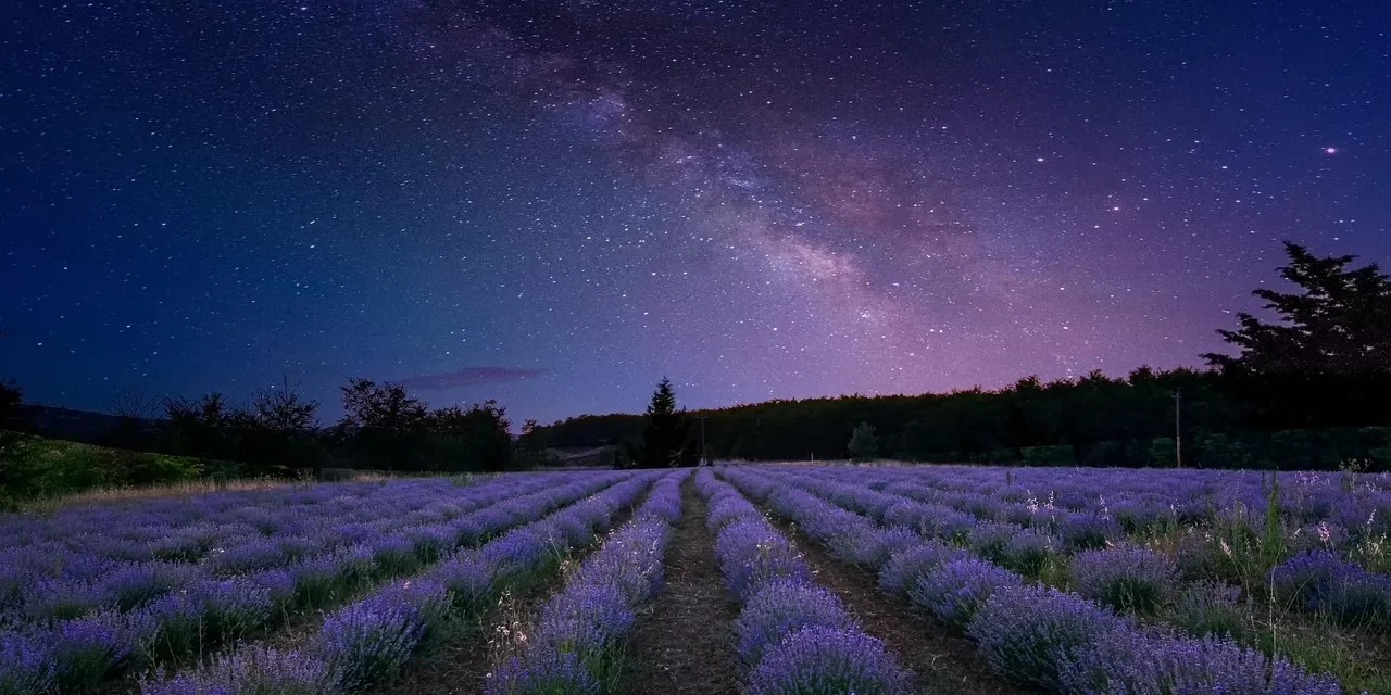 🌞 HUMAN LIFE II: ATTACHMENTS, EXISTENCE, AND THE BRIGHT LIGHT OF TRUTH | MASTER WOO MYUNG | SANTA CLARA MEDITATION