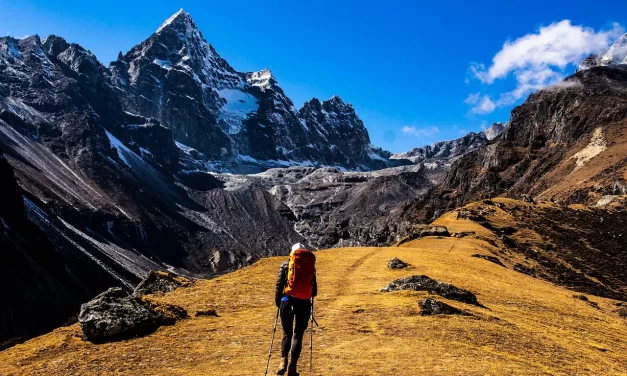 🎒 ONE’S BURDENS: ESCAPING FALSE KNOWLEDGE, ANXIETY, AND GREED TO LIVE IN NATURE’S FLOW | MASTER WOO MYUNG | SANTA CLARA MEDITATION