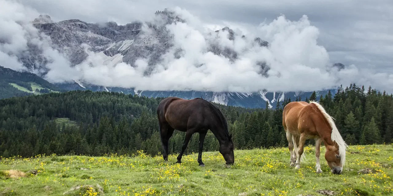 🌌 The Master Is the Universe, All Creation Is Also the Master: The Eternal Sky of Truth | Master Woo Myung | Santa Clara Meditation