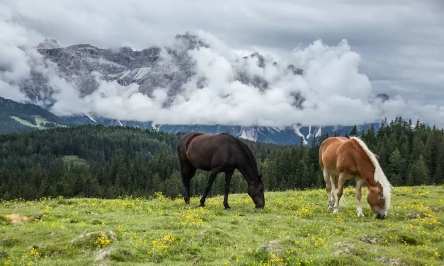 🌌 The Master Is the Universe, All Creation Is Also the Master: The Eternal Sky of Truth | Master Woo Myung | Santa Clara Meditation