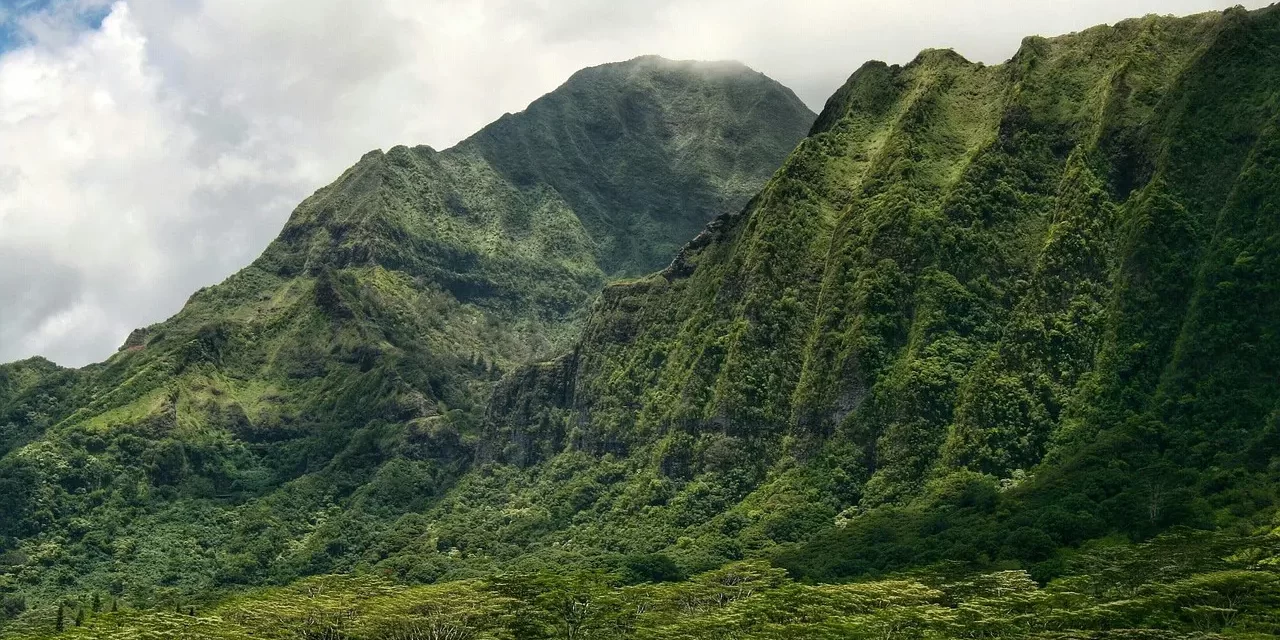 🍃 What Does the Poem “The Green Mountain Tells Me to Live Silently” Truly Mean? | Master Woo Myung | Santa Clara Meditation
