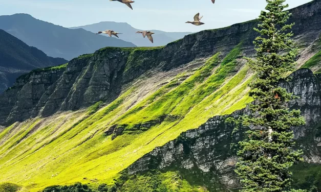 🌍 FOR THE WORLD TO BECOME COMPLETE: THE TRUE PARADISE AND SALVATION OF MAN | MASTER WOO MYUNG | SANTA CLARA MEDITATION