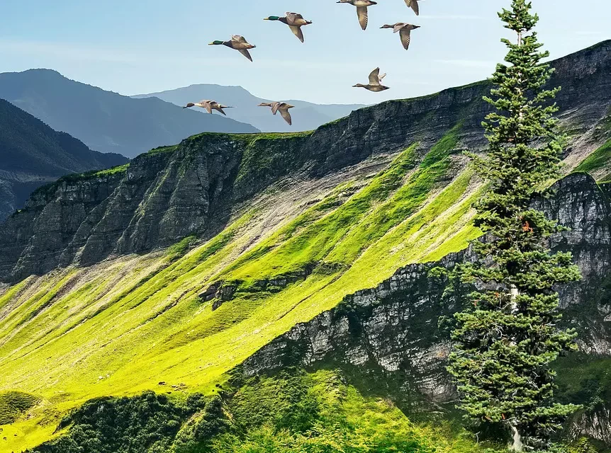 🌍 FOR THE WORLD TO BECOME COMPLETE: THE TRUE PARADISE AND SALVATION OF MAN | MASTER WOO MYUNG | SANTA CLARA MEDITATION