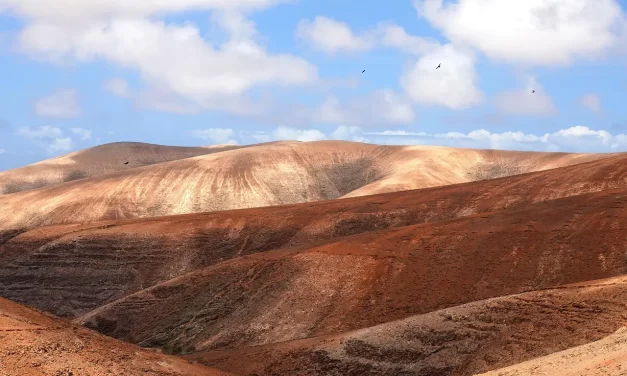 🌠 DESTINY: KARMA, HABITS, AND THE SEARCH FOR TRUTH THAT DETERMINES ONE’S PATH | MASTER WOO MYUNG | SANTA CLARA MEDITATION