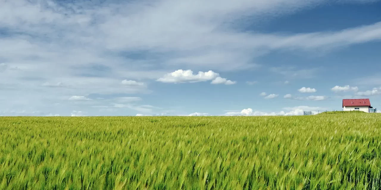🌞 THE DIFFERENCE BETWEEN THOSE WHO HAVE CLEANSED THEIR MINDS AND THOSE WHO HAVE NOT | MASTER WOO MYUNG | SANTA CLARA MEDITATION