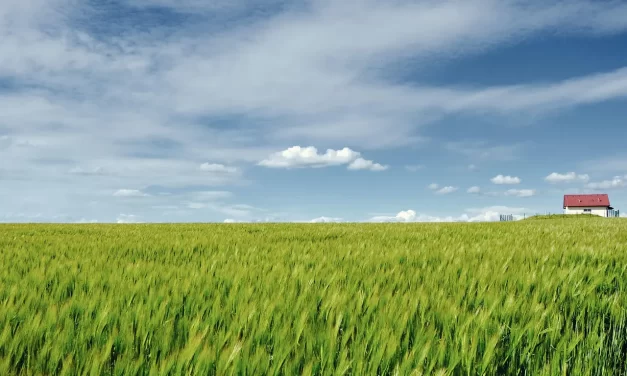 🌞 THE DIFFERENCE BETWEEN THOSE WHO HAVE CLEANSED THEIR MINDS AND THOSE WHO HAVE NOT | MASTER WOO MYUNG | SANTA CLARA MEDITATION