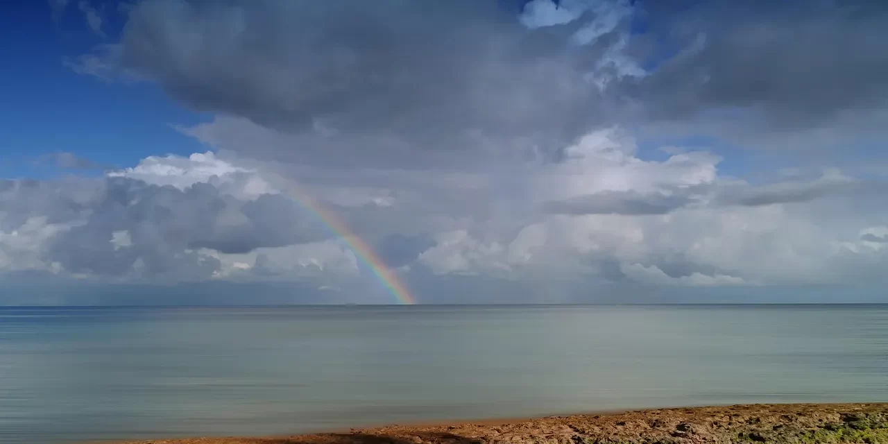 🌅 Only a Sage Can Recognize a Sage: Seeing Truth Through Becoming Truth | Master Woo Myung | Santa Clara Meditation