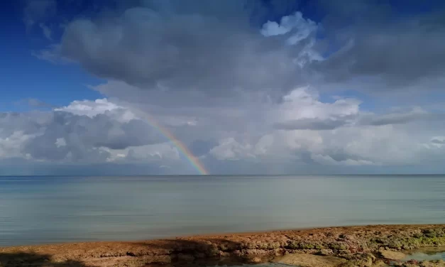🌅 Only a Sage Can Recognize a Sage: Seeing Truth Through Becoming Truth | Master Woo Myung | Santa Clara Meditation