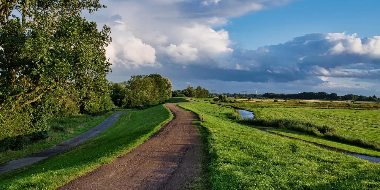 🛤️ THE PATH: WALKING WITHOUT JUDGMENT, LETTING GO OF SELF, AND LIVING IN TRUTH | MASTER WOO MYUNG | SANTA CLARA MEDITATION