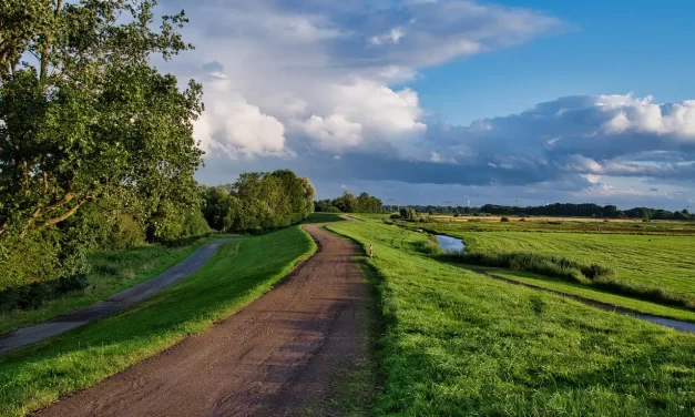 🛤️ THE PATH: WALKING WITHOUT JUDGMENT, LETTING GO OF SELF, AND LIVING IN TRUTH | MASTER WOO MYUNG | SANTA CLARA MEDITATION