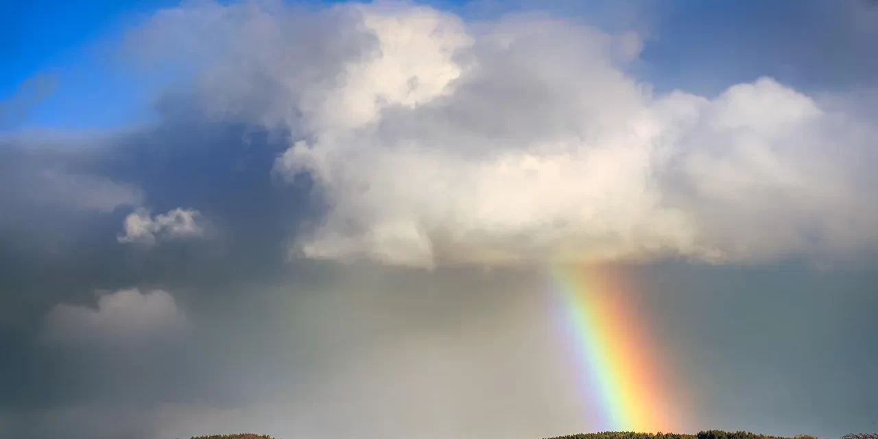 🌍 The World I: Man’s Noise and Heaven’s Silence | Master Woo Myung | Santa Clara Meditation