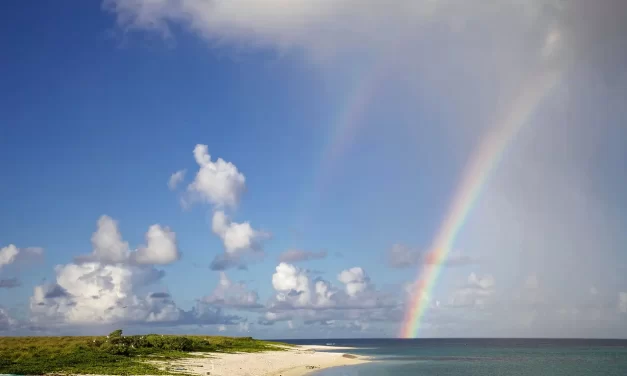 🌿 What Does the Koan, “What Is This?” Mean?: Understanding the Origin of All Existence | Master Woo Myung | Santa Clara Meditation