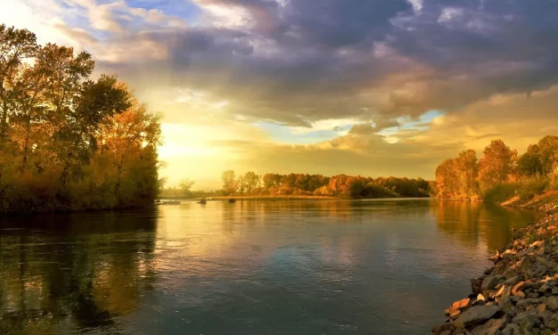 🌏 True Ideology: the path to oneness beyond attachments | Master Woo Myung | Santa Clara Meditation