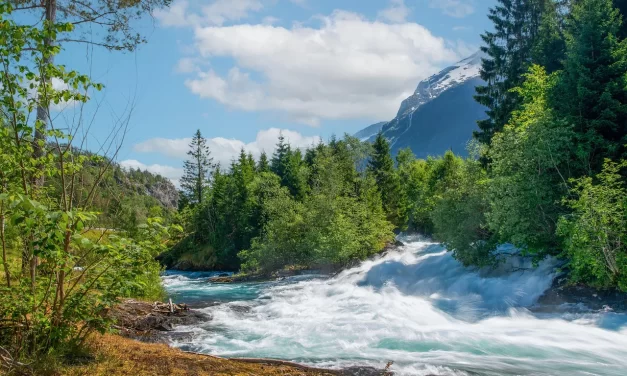 🌌 WHAT IS THE MIND?: DISCARDING THE FALSE SELF AND AWAKENING TO TRUTH | MASTER WOO MYUNG | SANTA CLARA MEDITATION