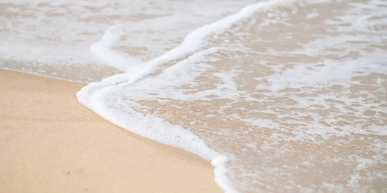 🌿 WHAT IS THE PROVIDENCE OF NATURE?: UNDERSTANDING THE FLOW OF THE UNIVERSE AND THE FAIRNESS OF GREAT NATURE | MASTER WOO MYUNG | SANTA CLARA MEDITATION