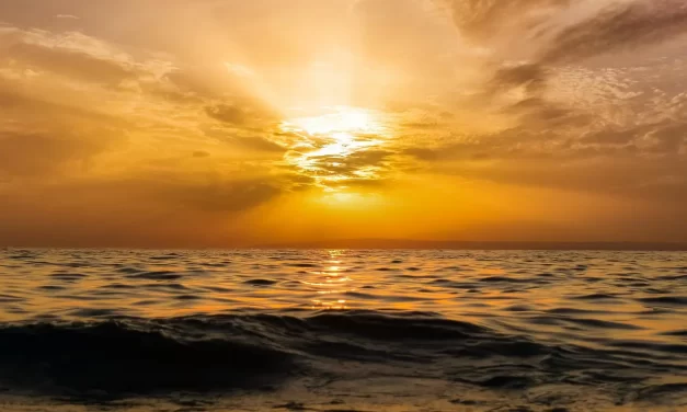 🌌 ALL THAT HAVE NOT BECOME TRUTH ARE FALSE: MASTER WOO MYUNG ON RESURRECTION, HUMAN COMPLETION, AND ETERNAL LIFE | SANTA CLARA MEDITATION