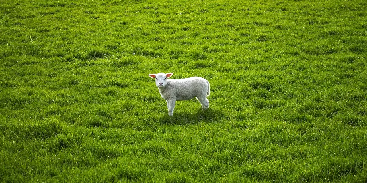 🌿 People Do Not Know How to Receive Jesus: righteousness truth and the mind of God | Master Woo Myung | Santa Clara Meditation