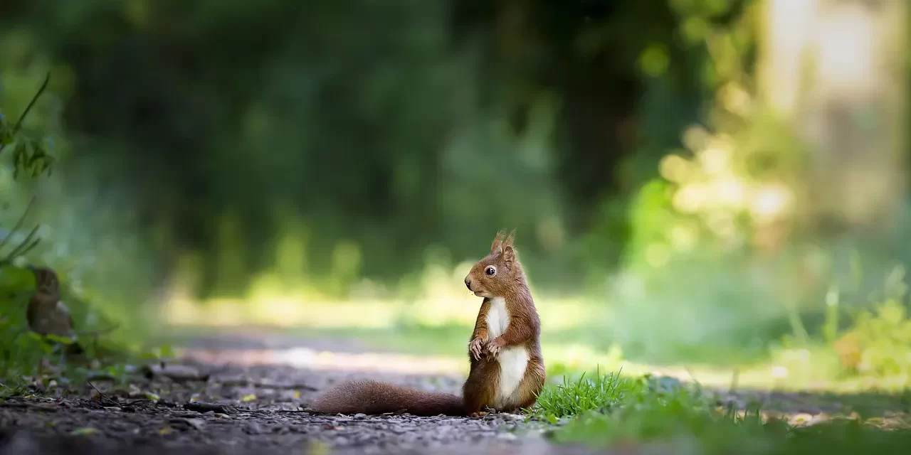 🌸 WORRIES: UNDERSTANDING LIFE’S CONDITIONS AND LIVING FREE FROM ANXIETY IN TRUTH | MASTER WOO MYUNG | SANTA CLARA MEDITATION