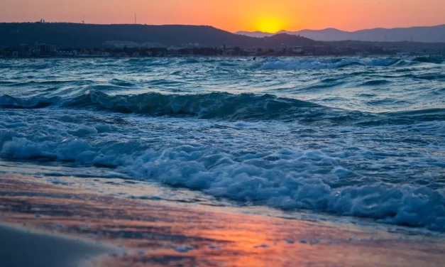 🌇 SUNSET: THE MOMENT OF REALIZATION BEFORE THE DAY ENDS | MASTER WOO MYUNG | SANTA CLARA MEDITATION