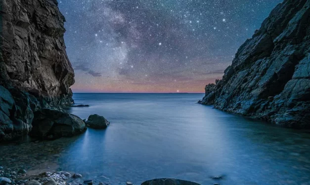 🌿 Original Mind: Returning to the Living Mind of God | Master Woo Myung | Santa Clara Meditation